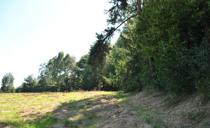 działka na sprzedaż - Kęty, Podlesie