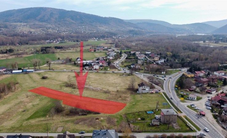 działka na sprzedaż - Czaniec